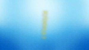 ?? СОЕДИНЕННОЕ КОРОЛЕВСТВО ВЕЛИКОБРИТАНИИ ??