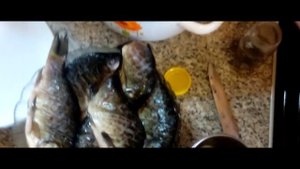 КАРАСЬ БЕЗ ЗАПАХА И КОСТЕЙ. Лучший способ приготовить КАРАСЯ