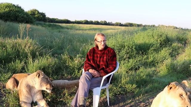 Знакомство и рассказ о нас. Introduction and our story смотреть онлайн