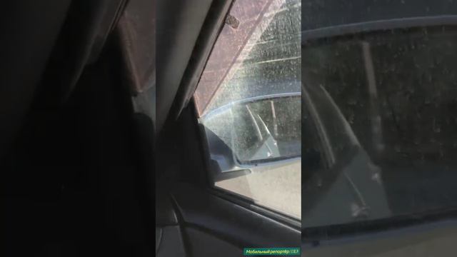 Мобильный репортёр | 8.08.24