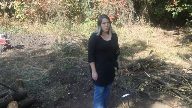 Саженцы из "Красносада" смотреть онлайн