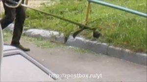 Косильщик косит траву триммером