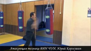 Атакующая техника ВИН ЧУН. Юрий Кормушин.