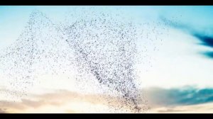 Bayer intro video
