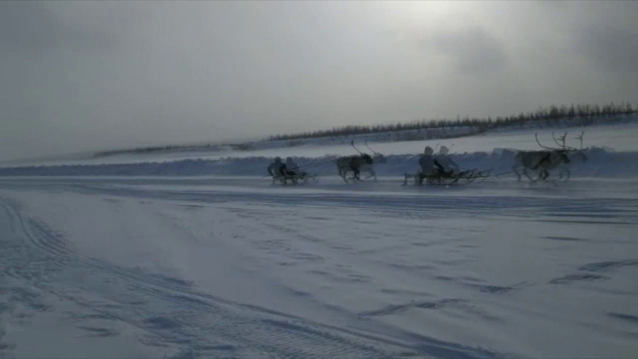 Слет оленеводов. п. Оленек