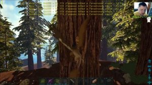 Как Добыть? : Мед Гигантских пчел и Древесный сок .