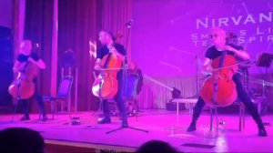 Nirvana Renaissaence cellos