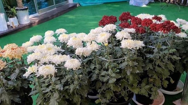Южная Корея, парки