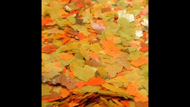 Первый аквариум,запуск,с чего начать,как содержать смотреть онлайн