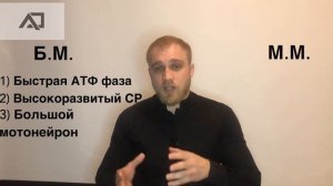 Физиология 3. Типы мышечных волокон.