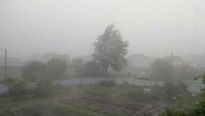 Ураган в Хатуни Моск. Обл. (теплицы уже нет)интервал в видео 1 минута