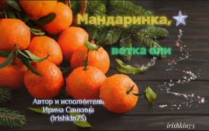 Мандаринка, ветка ели - Автор и исполнитель Ирина Попова (Санкина) (irishkin73)