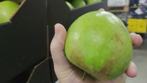 478ч Наша жизнь на пенсии после переезда на юг России/Белореченский район/Посёлок Родники