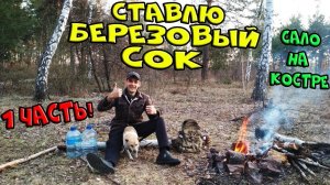 Сок березовый. Нашли пруд в поле. Жарю сало. Увидели много зайцев