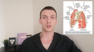 Диастаз прямых мышц живота.  Причины и способы лечения