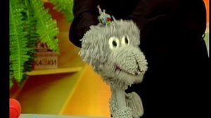 "В гостях у Тофика" - зуб мудрости