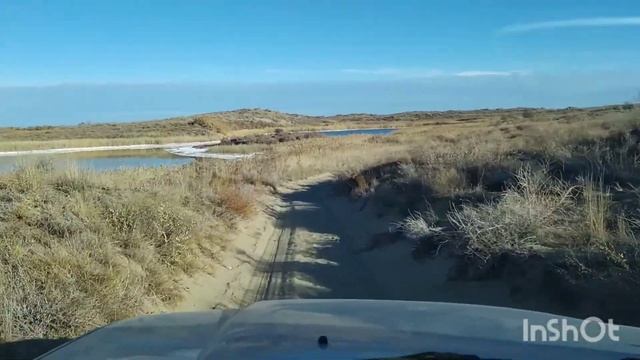 Поехали на утку а добыли барсука! 20.10.2020. смотреть онлайн