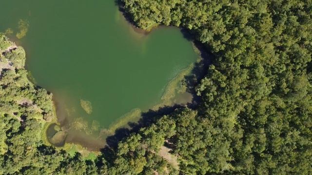 Ольховые озёра 1.09.22 смотреть онлайн