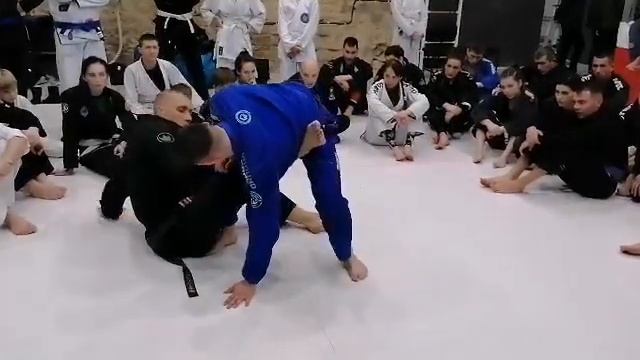 Семинар Павла Столяра - обзор техники с семинара (Николаев 28.12.2019) смотреть онлайн