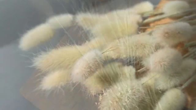 Лагурус и другие сухоцветы в магазине С-НЕЖНОСТЬЮ.РФ смотреть онлайн