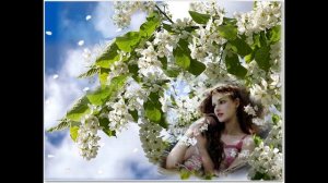 Вечер черные брови насопил