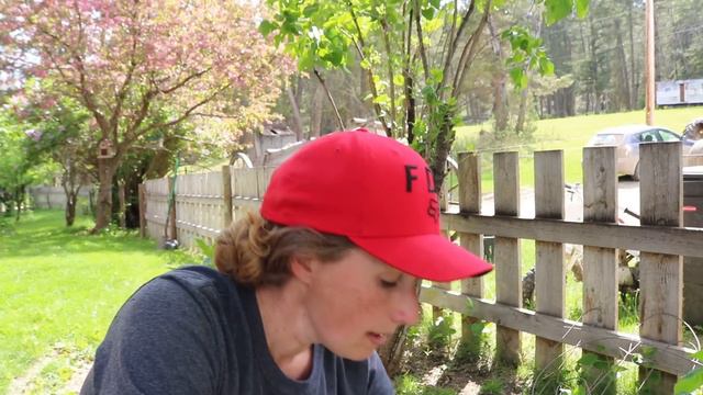 Garden VLOG  Planting Clematis  Farm Babies