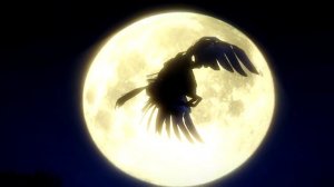 Трейлер ICARUS Phoenix