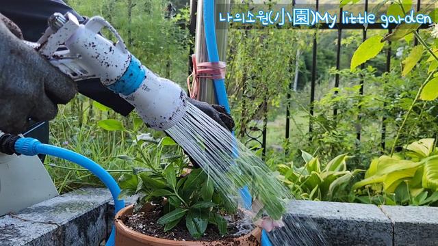 가을정원 화분으로 꾸며볼까? смотреть онлайн