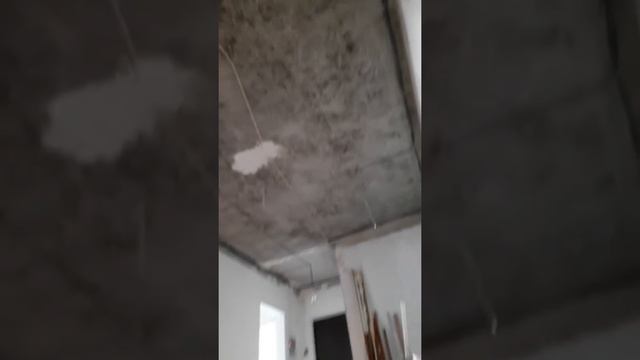 Как убрать плесень с потолка смотреть онлайн