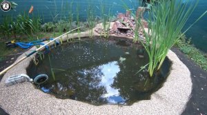 Ловлю рыбу на даче. Подводная съёмка моего пруда в Германии