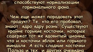 КАКАЯ ПОЛЬЗА ОТ АБРИКОСОВЫХ КОСТОЧЕК?
