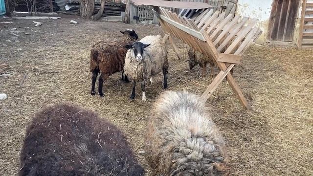 Живем в Адыгее/Такая зима/Находки в старом сарае/ смотреть онлайн