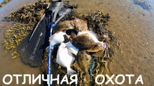 ОХОТА В ЗАЛИВЕ БАРЕНЦЕВА МОРЯ / HUNTING IN THE BARENTS SEA BAY