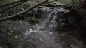 Самая Мощная Матрица Гаряева Коррекция Онкозаболеваний организма