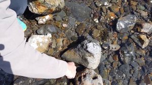 Охотское море-Небольшое путешествие и ЛОВЛЯ ОСЬМИНОГА. Край СВЕТА-САХАЛИН. Fishing for octopus.