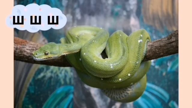 Звукоподражания для ЗАПУСКА РЕЧИ сборник. Карточки звукоподражания животных, птиц, окружающей среды смотреть онлайн