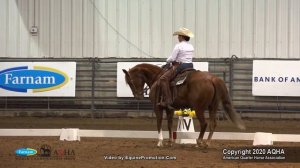 FRECKLED TAFFY shown by SOPHIA HARRIS   2020 AQHA World Show Western Dressage Stakes