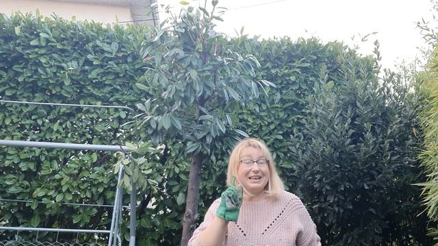 Что едят французы дома. Муж готовит. Как я работаю в осеннем саду смотреть онлайн