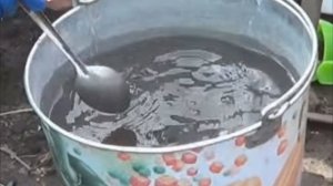 Огурцы заболели. Что делать???