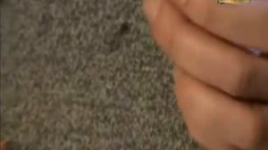 ОХОТА И РЫБАЛКА | КАРПОВАЯ ЛОВЛЯ | БОЙЛЫ, ПАКЕТЫ ПВА