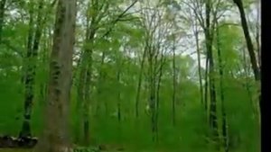 Времена года. Год за несколько минут