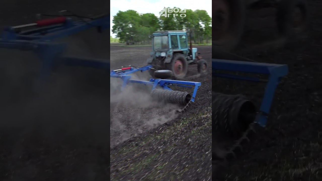 Каток ККЗ повысит урожай на 15#shorts смотреть онлайн