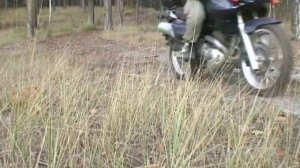 Suzuki XF650 Freewind in forest