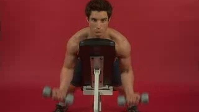 Сгибания рук с гантелями лежа н наклонной скамье смотреть онлайн