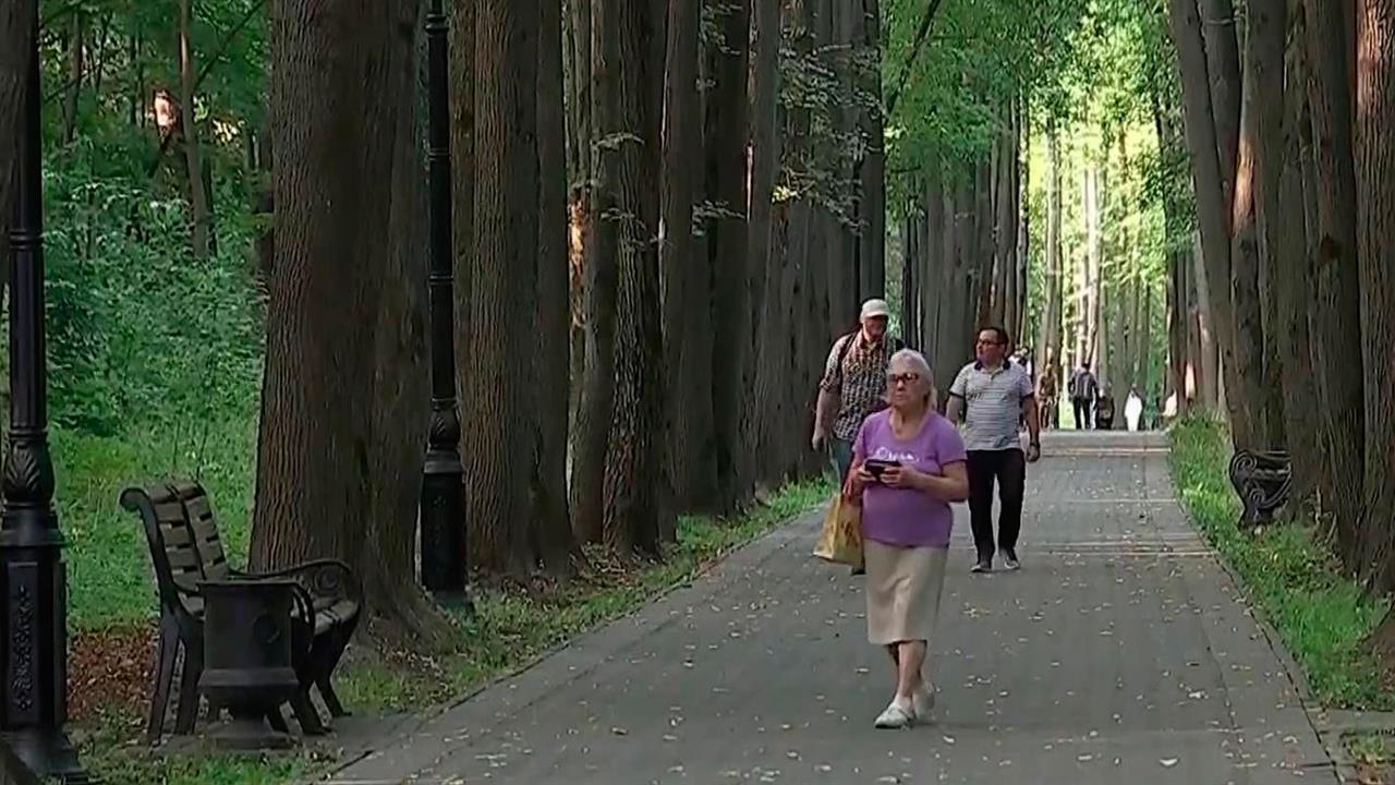 В Москве в День знаний ожидается до 28 градусов тепла