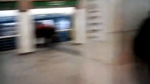 Пролетарская метро (Санкт-Петербург)
