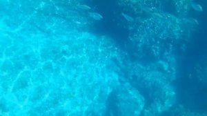 ХОРВАТИЯ отдых: Премантура — Пула — Загреб | CROATIA: Premantura — Pula — Zagreb / 2021