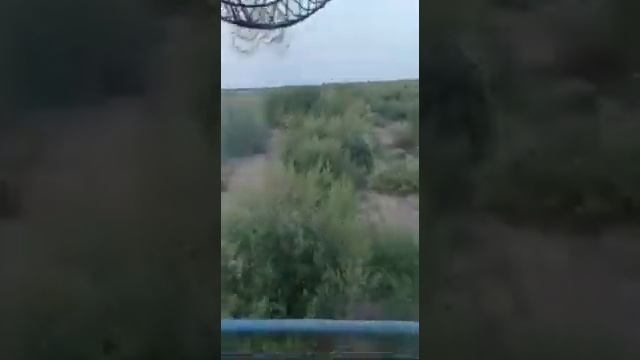 Шумахер и бурьян толщиной 5 см. / шумахернажатку.рф смотреть онлайн