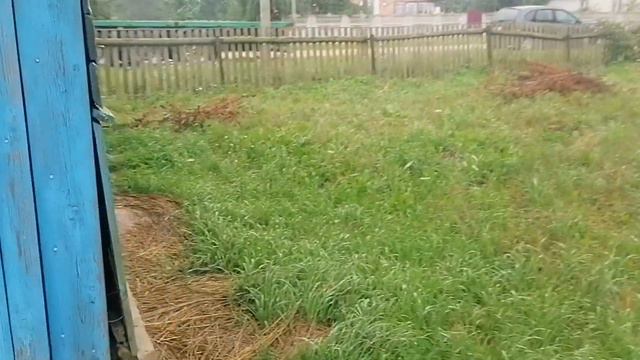 ОБЗОР ДОМА ЗА 4500$/АГРОГОРОДОК ВЕСЕЯ /БЕЛАРУСЬ /ПРОДАЕТСЯ смотреть онлайн