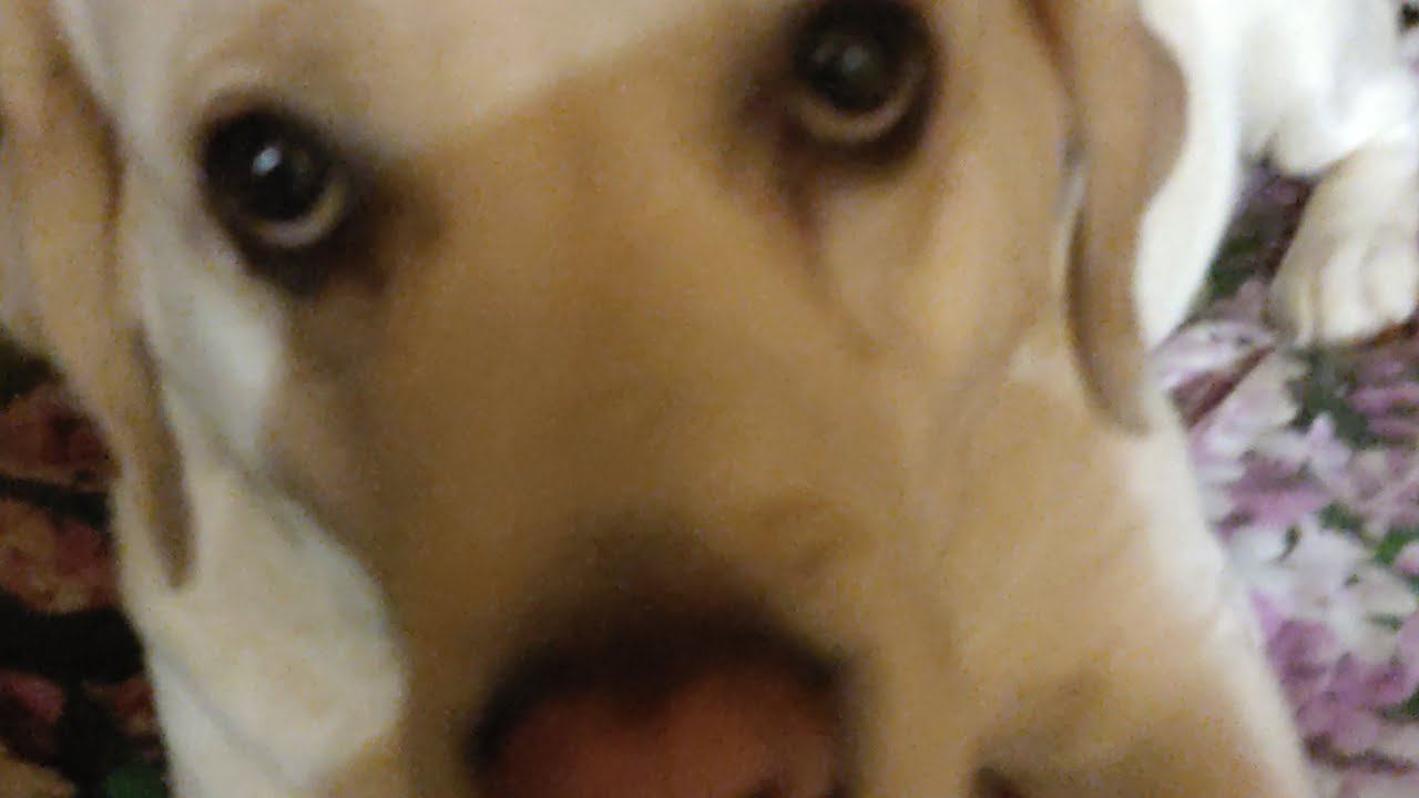 30 января 2022 г. смотреть онлайн